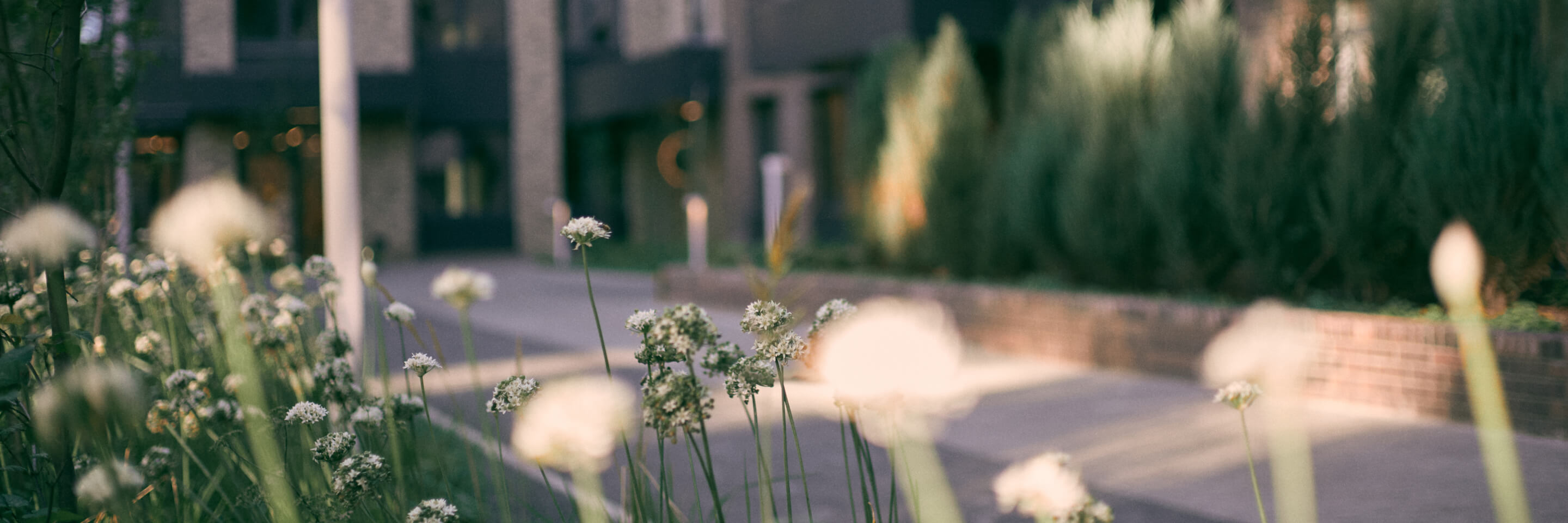 «Привилегия Парк»